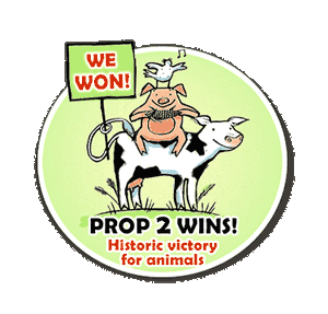 PROP 2 WINS!